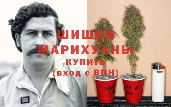 дживик Арсеньев